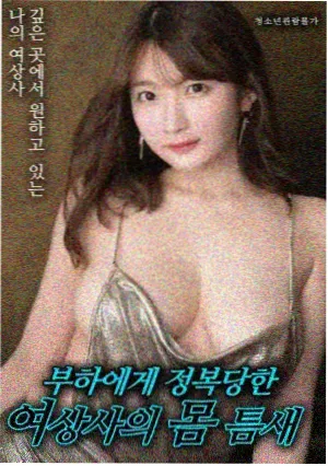 海雾之城 电影封面